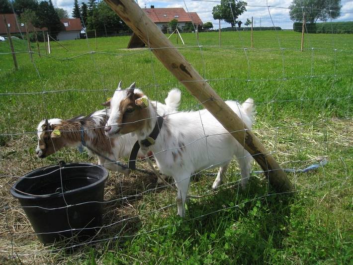 Ferienhof Settele - Albert in Bad Wörishofen, Bayerisch Schwaben