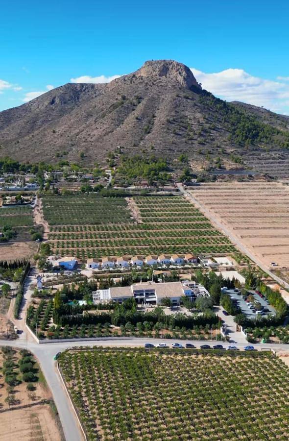 Apartamento para 2 personas, con piscina y jardín además de terraza y vistas, Se admiten mascotas en Aspe