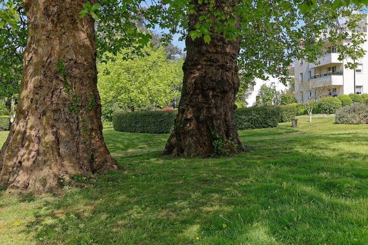 Gîte pour 6 personnes, avec vue et terrasse dans Beautour - 3