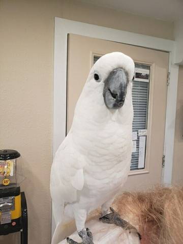 Camping für 4 Personen in Florida Panhandle, Florida, Bild 4