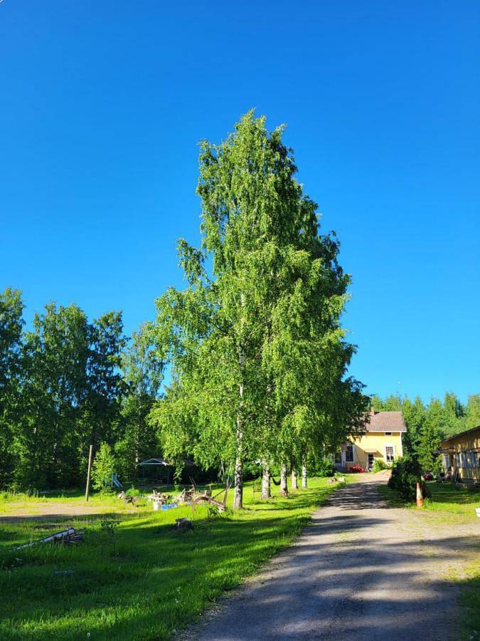 Ferienwohnung für 7 Personen, mit Garten und Pool sowie Sauna in Rantasalmi