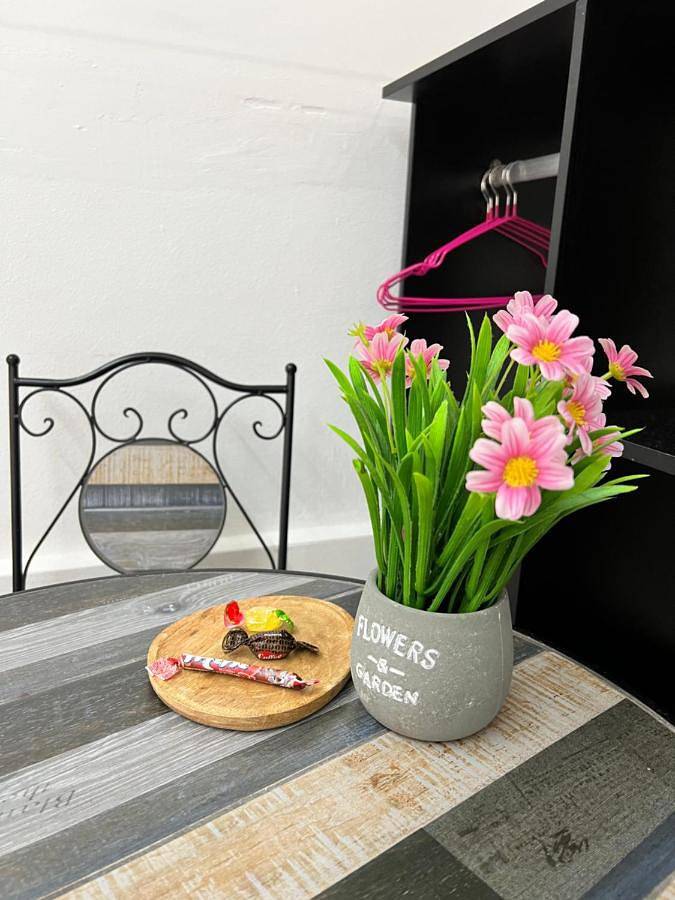 Gîte pour 2 personnes, avec jardin et vue, animaux acceptés à Imola - 4