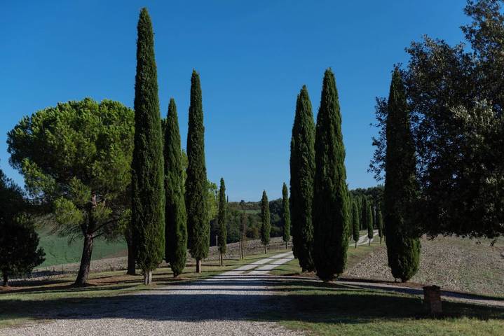 Vakantiewoning voor 10 personen, met Tuin en Zwembad in Siena