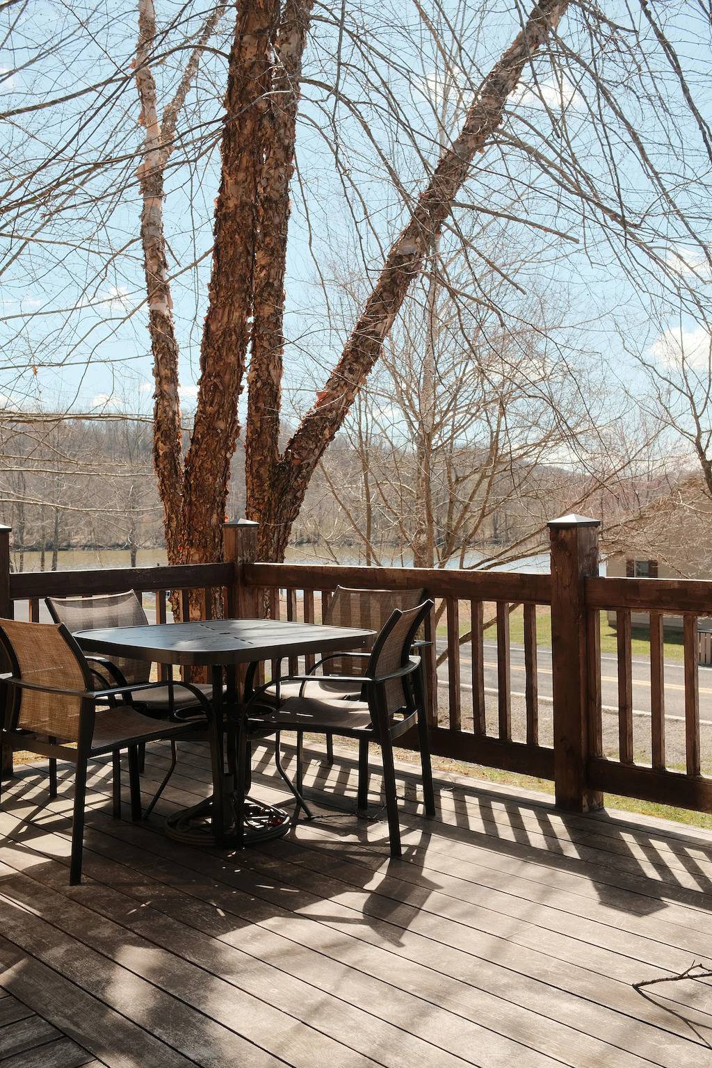 Entire apartment, Stonewall Resort in West Virginia