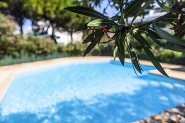 Studio pour 2 Personnes dans La Grande-Motte, Région de Montpellier, Photo 3