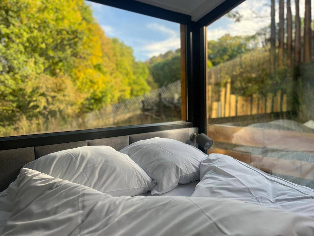 Domaine des Constellations - Tiny Houses & Bains Nordiques in Orbey, Parc naturel régional des Ballons des Vosges
