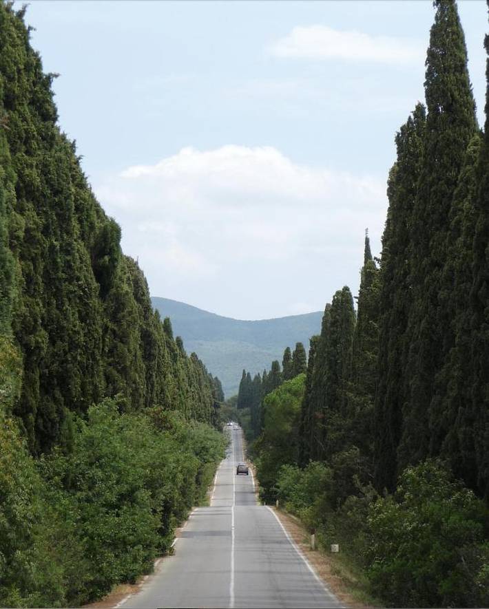 Casa vacanza per 4 persone a Bolgheri