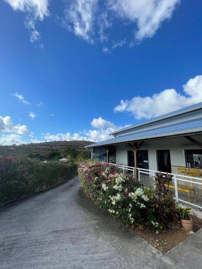 Location de vacances pour 8 personnes, avec jardin ainsi que jacuzzi et piscine dans Anse Corps de Garde - 4