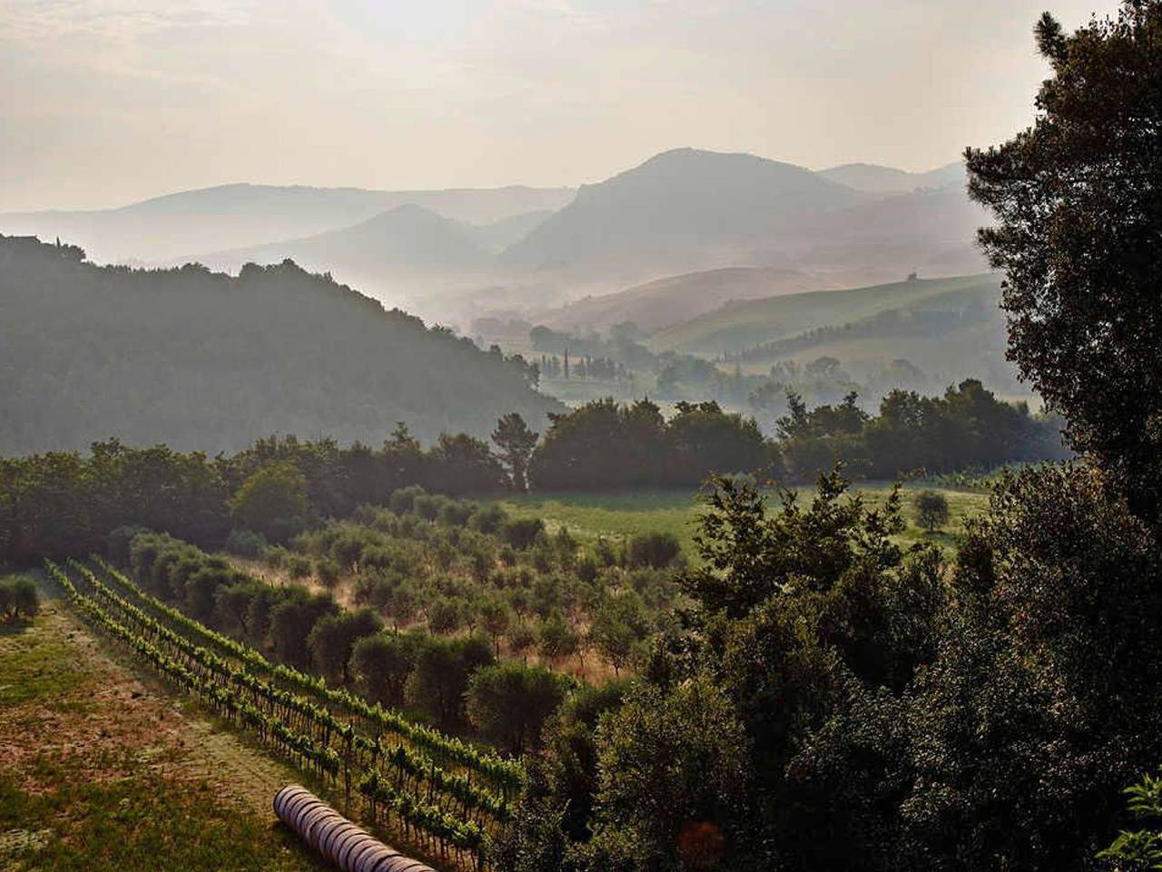 Agriturismo Podere Cortilla - L'Angolo in Volterra, Pisa Provinz