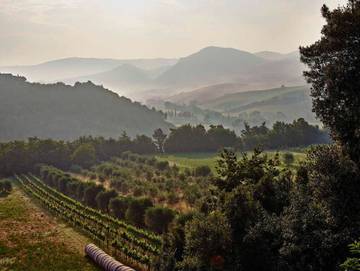 Ferienhaus für 4 Personen in Volterra, Pisa Provinz, Bild 4
