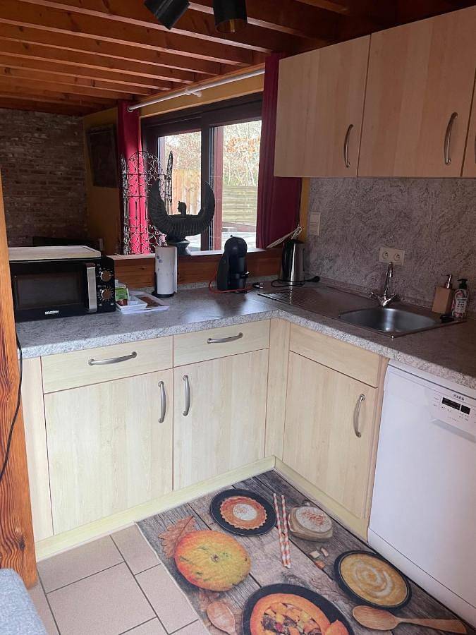 Location de vacances pour 2 personnes, avec vue et sauna ainsi que vue sur le lac et jardin, animaux acceptés dans Frahan - 4