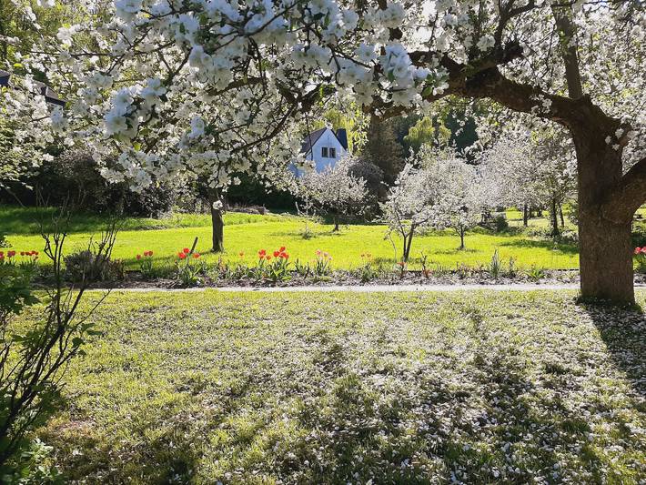 Hotel für 2 Personen, mit Garten in Bad Freienwalde - 2