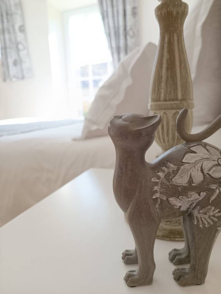 Chambre d’hôte pour 2 personnes, avec jacuzzi et jardin dans Côte-d'Or - 2