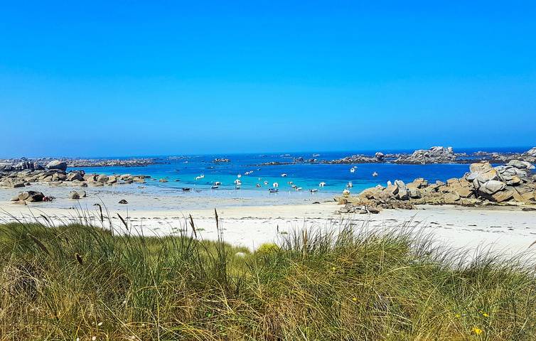 Gîte pour 6 personnes, avec terrasse à Kerlouan - 3