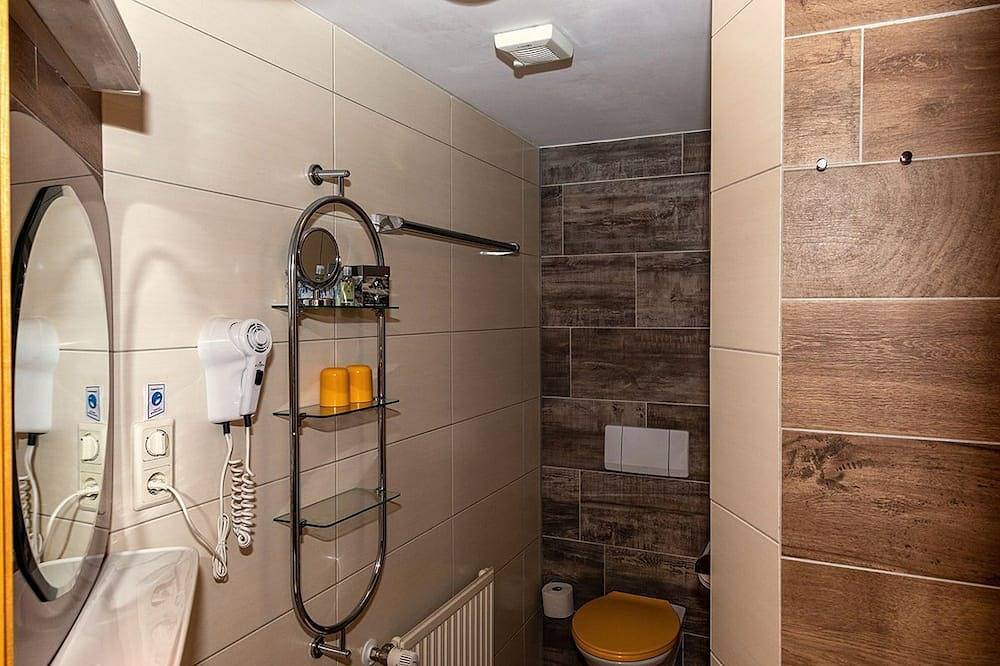 Ganze Wohnung, Appartement 2 Nord/West - Haus Rosemarie in Nesselwängle, Außerfern