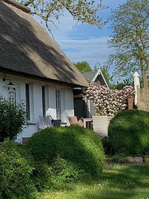 Ferienwohnung für 2 Personen, mit Terrasse und Seeblick in Zehna