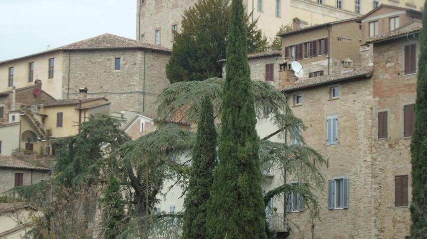 Appartement de vacances pour 4 personnes, avec vue, animaux acceptés - 1