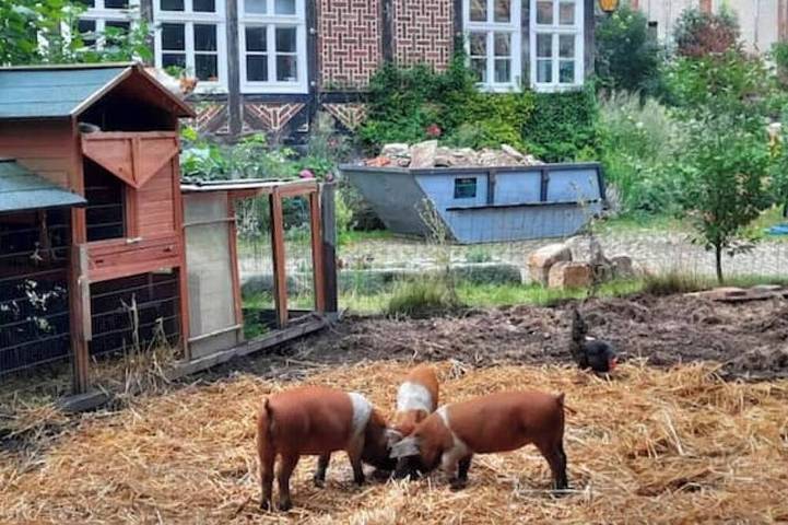 Ganze Wohnung, Goldene Wohnung auf dem Gutshof in Nordstemmen, Landkreis Hildesheim