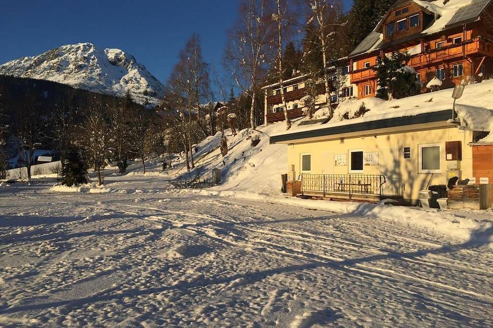 Apartment/Fewo - Pension Gsenger in Ramsau am Dachstein, Schladming-Dachstein