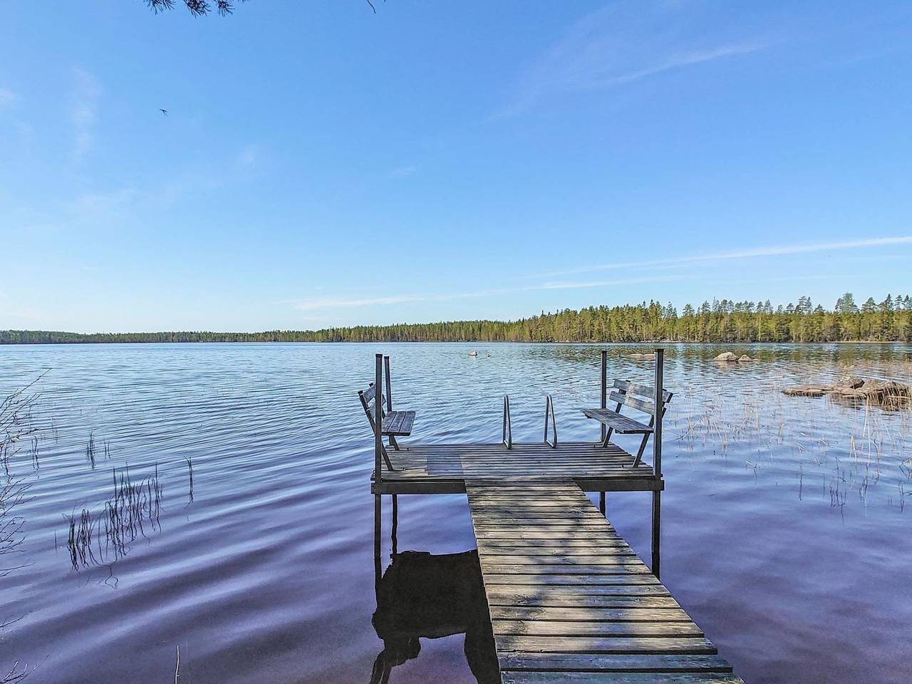 Haapala in Soini