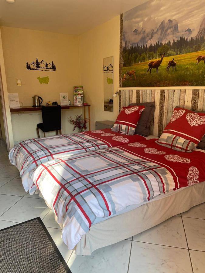 Chambre d’hôte pour 2 personnes, avec terrasse ainsi que vue et jardin dans les Vosges - 4