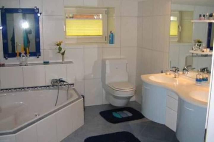 Ferienwohnung für 4 Personen, mit Garten, mit Haustier in Frutigen - 3