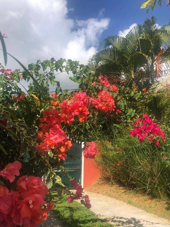 Gîte pour 4 personnes, avec piscine ainsi que vue et jardin à Le Lamentin - 4