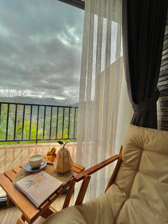 Appart’hôtel pour 4 personnes, avec jardin ainsi que balcon et vue - 1
