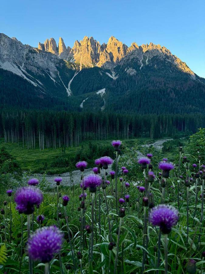 Gîte pour 4 personnes, avec vue à Santo Stefano di Cadore - 3