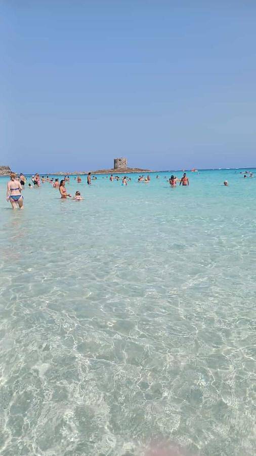Chambre d’hôte pour 2 personnes, avec vue et jardin à Alghero - 2