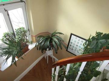 Ferienwohnung für 4 Personen in Oldenburg, Niedersachsen, Bild 4