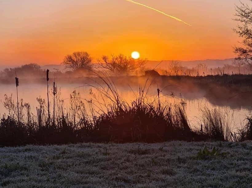 Beech Pod Cabin in beautiful surroundings Wrexham in Wrexham region