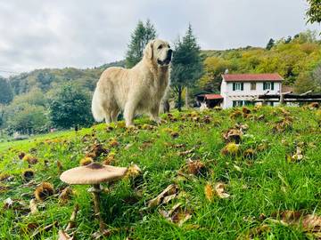 Casa Vacanza per 6 Persone in Osiglia, Provincia di Savona, Foto 4