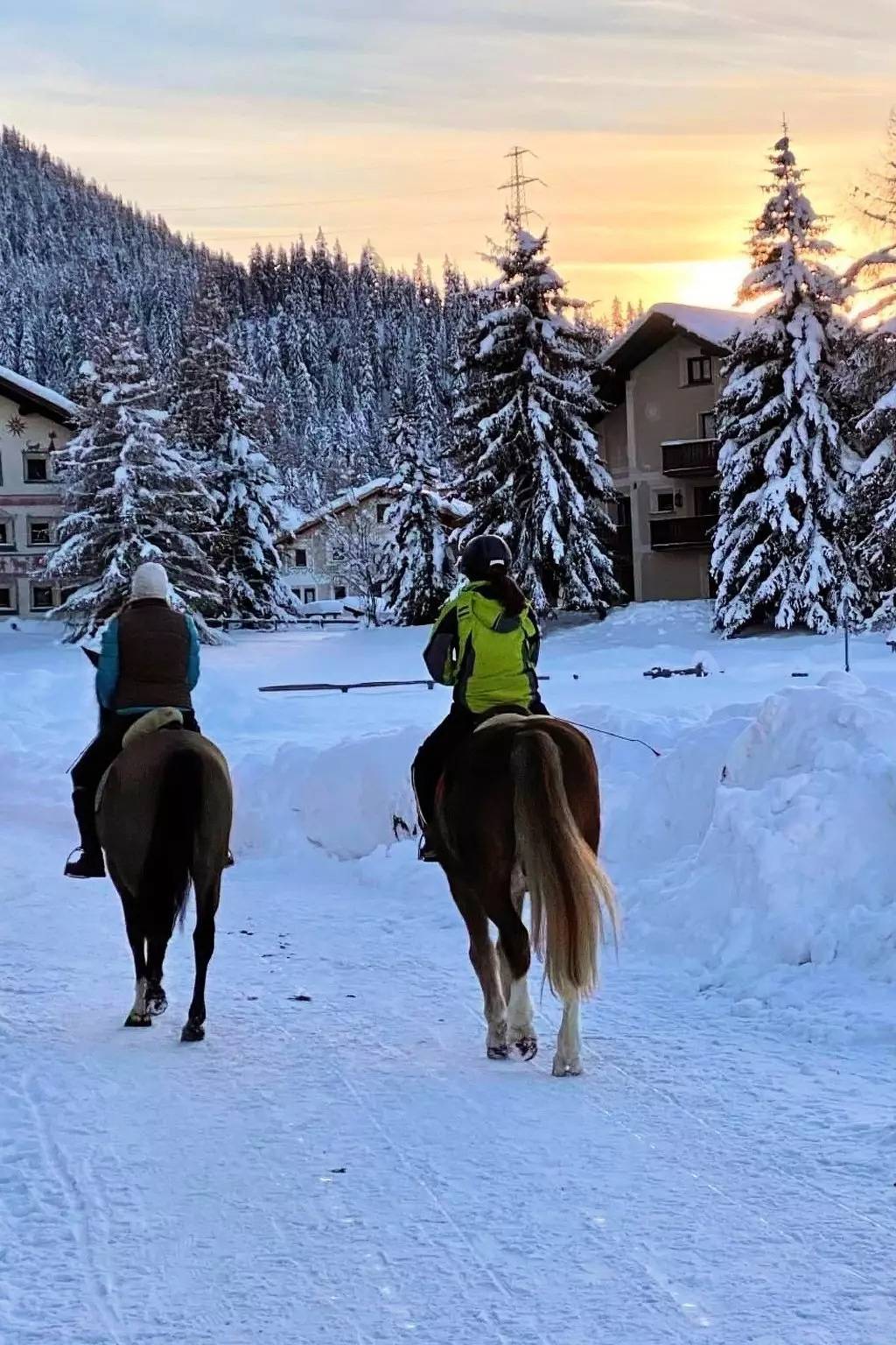 Ganze Wohnung, 6 Zimmer 4 Personen in La Punt-Chamues-ch, Sankt Moritz
