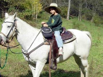 Log Cabin for 25 People in Blue Ridge Mountains, Virginia, Photo 3