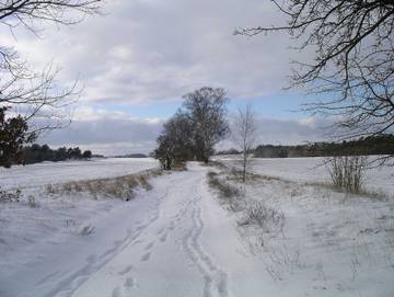 Ferienwohnung für 3 Personen, mit Garten, kinderfreundlich in Rheinsberg