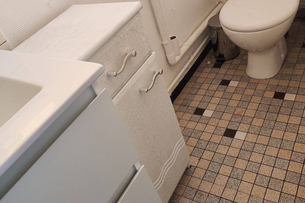 Entire apartment, Spacious Studio Comfort in Strasbourg, Strasbourg region