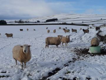 Glamping for 8 People in Dumfries and Galloway, Lowlands, Photo 1