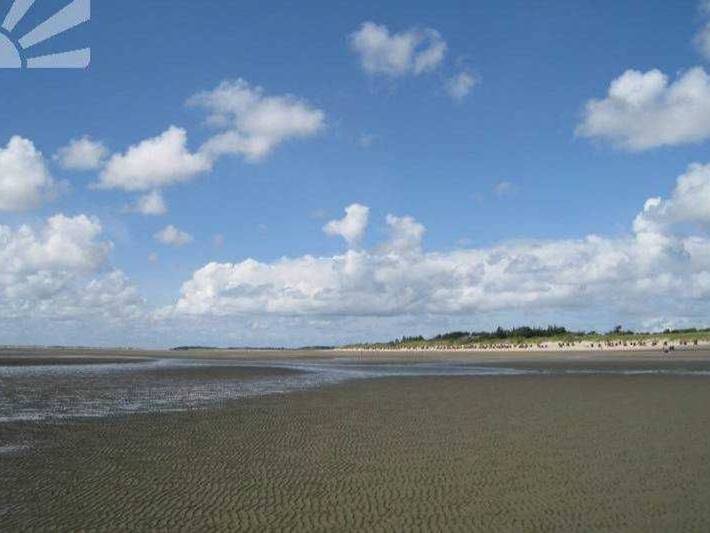 Ferienhaus für 4 Personen, mit Garten und Terrasse, kinderfreundlich in Nieblum - 3