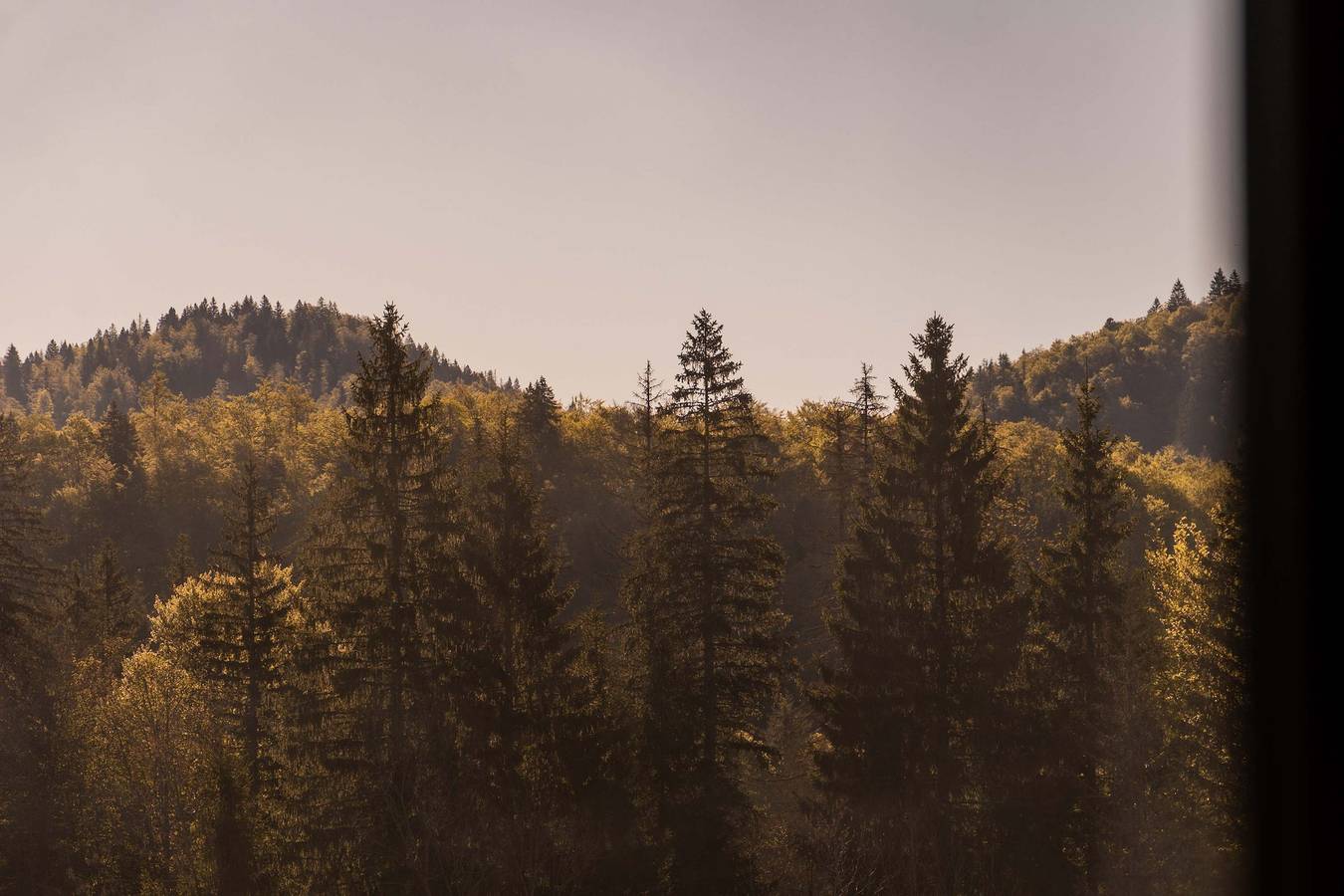 Ganze Wohnung, Ferienwohnung für 3 Personen in Septmoncel Les Molunes, Regionaler Naturpark Hochjura
