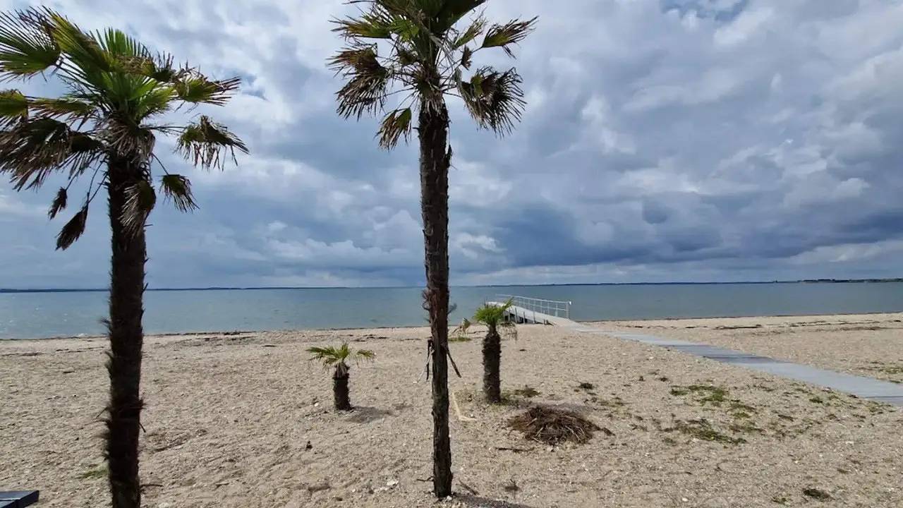 Ferienhaus für 6 Personen (90 m²) in Øster Assels in Morsø, Limfjord in Nordjütland