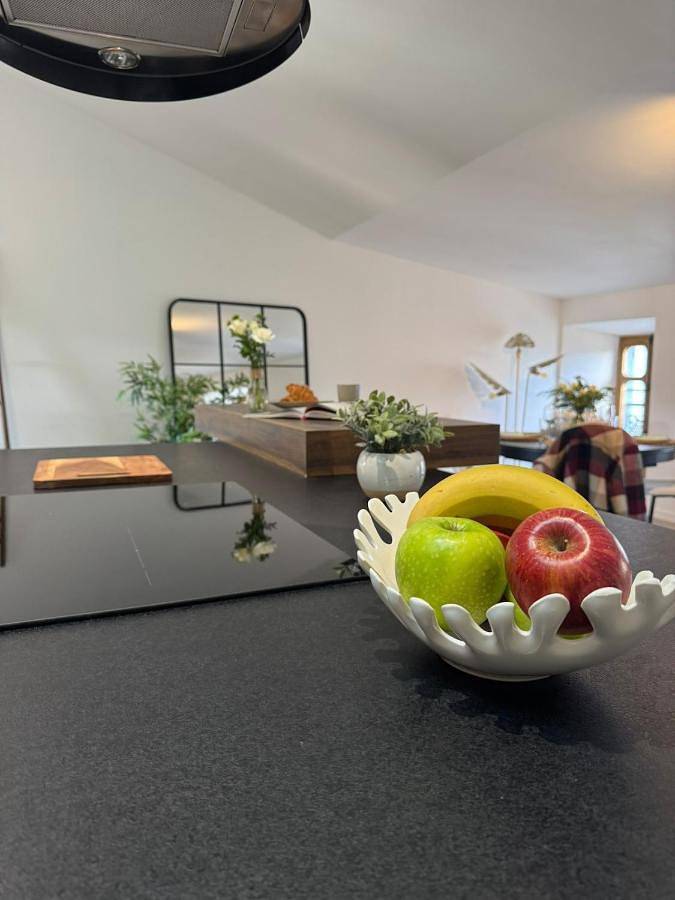 Gîte pour 6 personnes, avec vue dans Office De Tourisme De Foix - 4