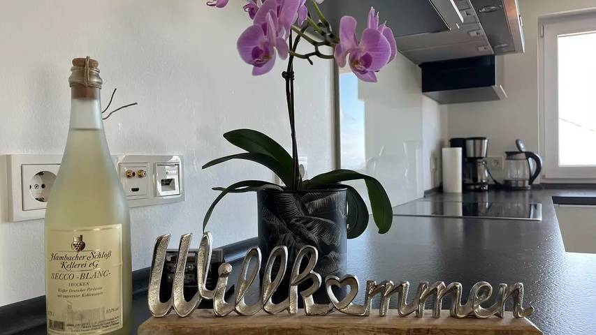 Ferienwohnung für 3 Personen, mit Balkon in Hambach (Neustadt) - 2