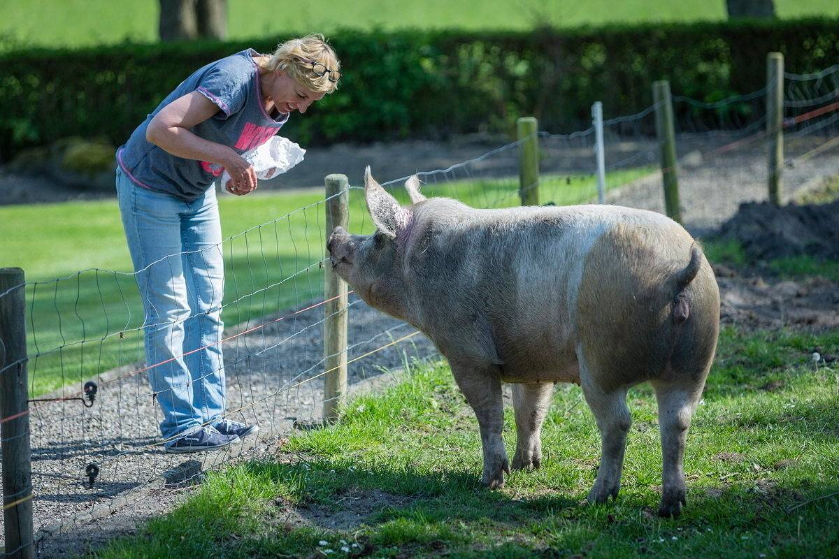 Ganze Ferienwohnung, Ferienhof Becker - Bauernliebe in Westfehmarn, Fehmarn