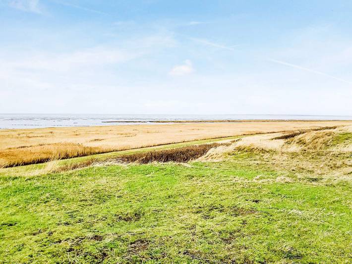 Ferienhaus für 6 Personen, mit Garten, kinderfreundlich in Biikebrennen - 3