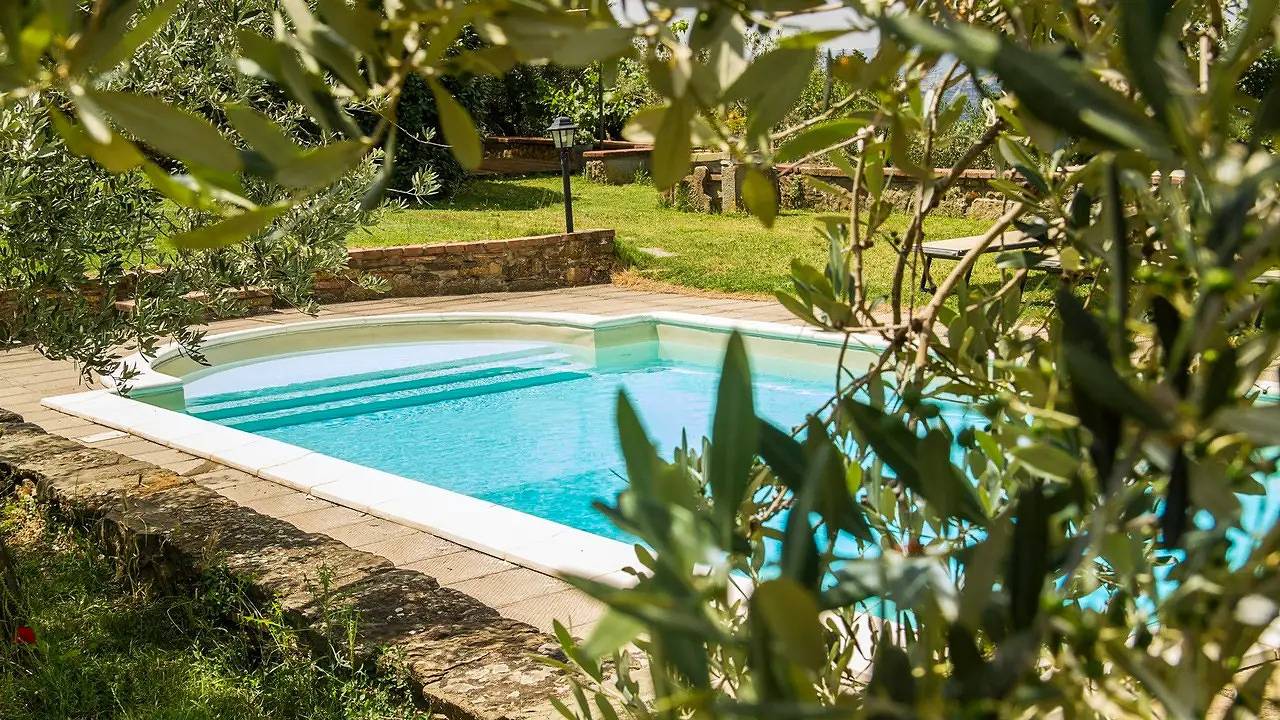 Ferienhaus für 4 Personen (60 m²) in Cortona in Cortona, Province d'Arezzo