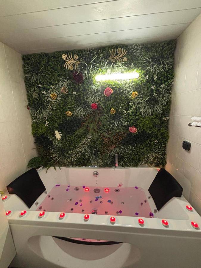 Appartement entier, Evasion romantique, Jacuzzi Massage luminothérapie in Carquefou, Région de Nantes