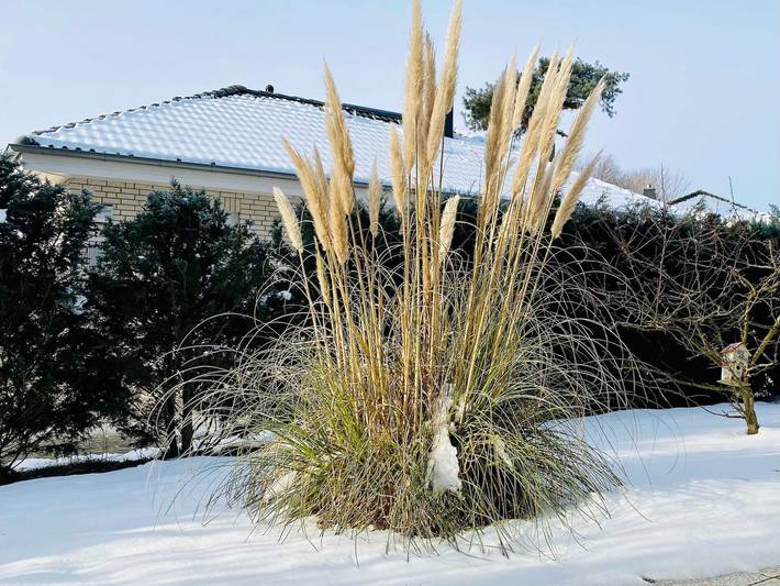 Ferienhaus für 6 Personen, mit Terrasse und Garten, kinderfreundlich in Karlshagen - 3