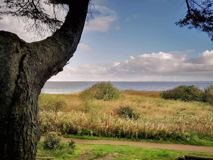 Ferienhaus für 8 Personen, mit Garten und Terrasse sowie Sauna, kinderfreundlich in Nissum Fjord - 4