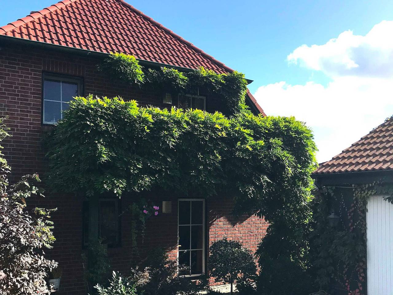 Ferienwohnung in Usedom ab 118€ pro Nacht